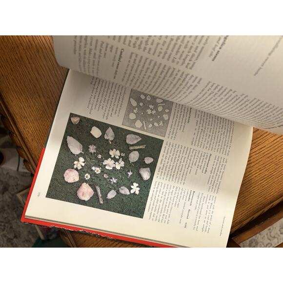 The Complete Book of Herbs and Spices by Sarah Garland Hardcover Book - Picture 5 of 10